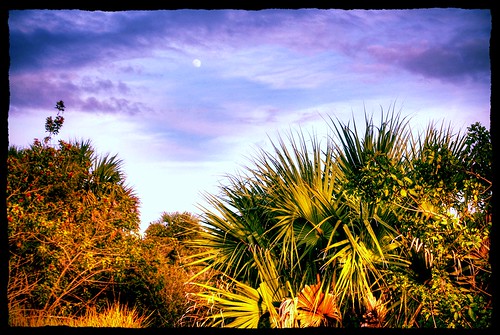 sky usa moon florida northamerica palmbay brevardcounty