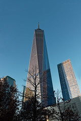 WTC_DxO.jpg