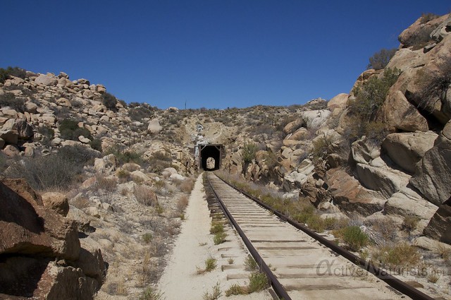 view 0006 DeAnza railroad trail, California, USA