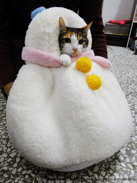 日本CattyMan 貓咪雪人睡窩