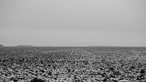 blackandwhite snow field lines blackwhite power flat horizon northdakota emptiness fallow redrivervalley