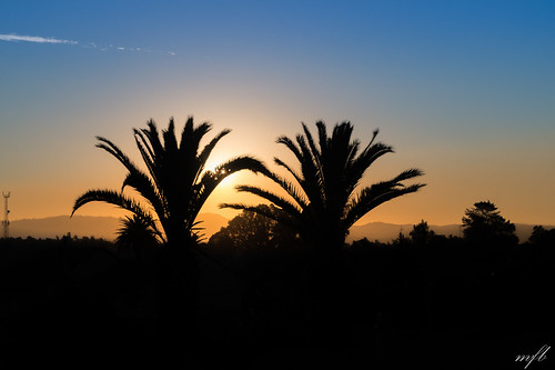 sunset sun mountains contrast palms atardecer shadows sony palmeras alpha a58 ndfilters peñablanca
