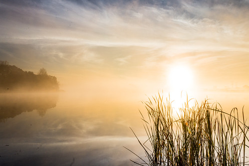 sky sun lake reflection sunrise canon reeds glendale heights cirrus 6d rodde eastbranchforestpreserve fpddc kevinrodde kevinroddephoto kevinroddephotography