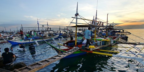 people sunrise san philippines documentaries gen travelphotography yellowfintuna gensanfishport tamron1024mm sonya580