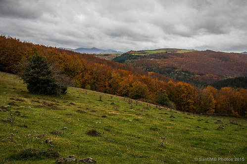 autumn españa landscape paisaje otoño esp navarra muskilda valledesalazar 2tumblr sal18250 izalzuitzaltzu 2blogger