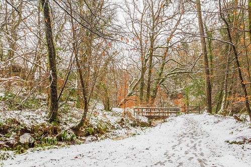 bridge winter snow path walk footprints northernireland wintersday woodenbridge ulster limavady countyderry roevalleycountrypark canonef24105mmf4lisusm roevalley canon5dmkiii