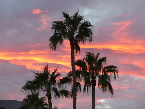 sunset palmsprings 2002p1010551