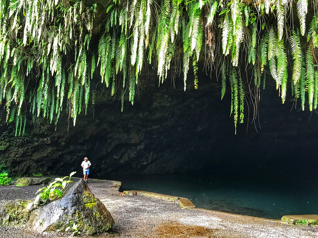 Fern grotto, Tahiti