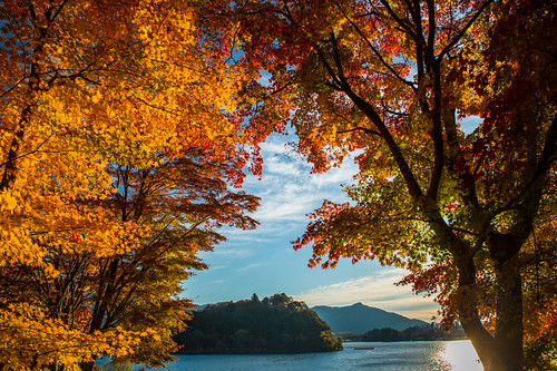 20141118ds10802 南都留郡 山梨県 日本 2014 crazyshin nikond4s afsnikkor2470mmf28ged fuji 河口湖 yamanashi japan autumn november 紅葉 15634817069 966822