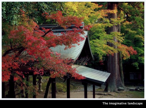 trees tree japan shrine autumnleaves nara yamato 奈良 narapark 東大寺 大和 手向山八幡宮 olympuspenep3 ealabo theimaginativelandscape fuwaryôsuke