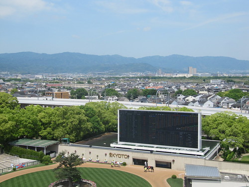 京都競馬場の６階からの景色