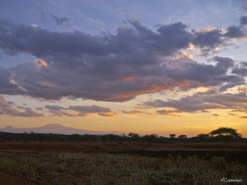 De Monte Kenia al Kilimanjaro. Un viaje agotador de 12 horas. - 12 días de Safari en Kenia: Jambo bwana (25)