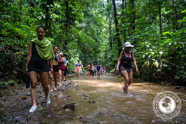 Hiking in the Jungle in Costa Rica