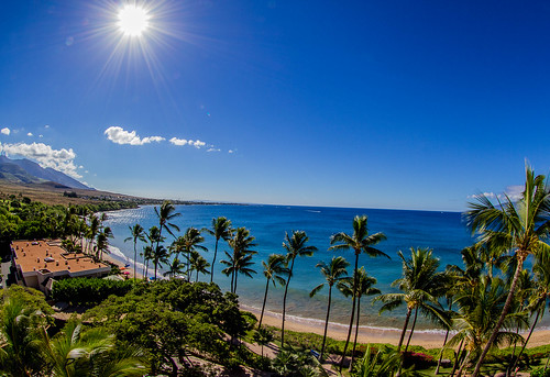 hawaii landscapes maui ti lahaina