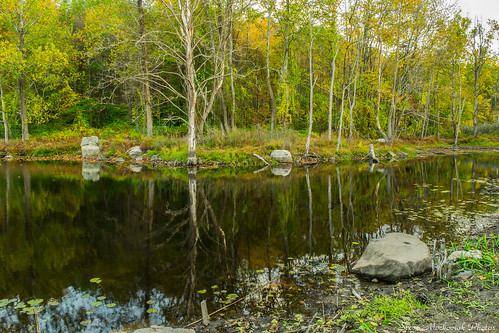 statepark autumn lake newyork fall water reflections pond nikon rocks d3100 smack53 sterlingforestpark