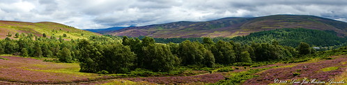 uk panorama landscape scotland europa europe aberdeenshire unitedkingdom ngc paisaje escocia panoramic panoramica reinounido luciojosemartinezgonzalez tornahaish