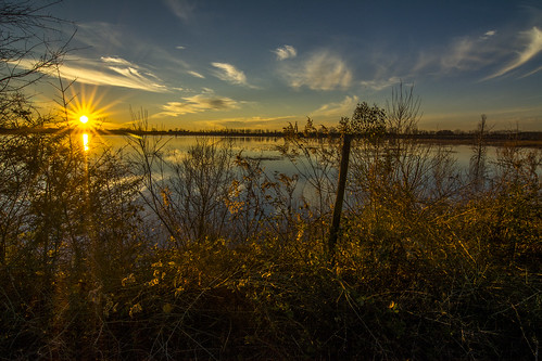 light sunset sky sun reflection nature water field skyline clouds landscape nikon outdoor alabama serene d7100