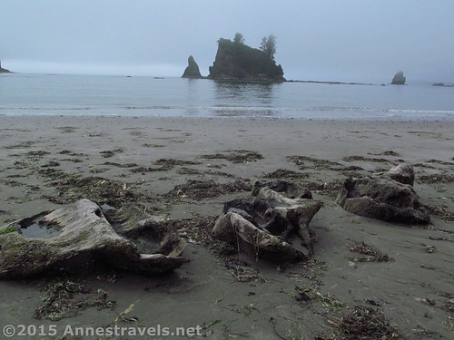 Sea stacks and driftwood between Third Beach and Strawberry Point, Olympic National Park, Washington