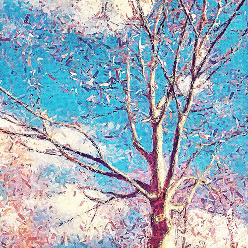 blue sky white painterly tree primavera leaves foglie clouds spring nuvole blu branches pop popart glaze cielo albero azzurro bianco springtime rami metabox repix snapseed phototoaster glazeapp