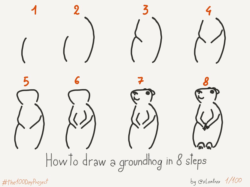 How to draw a Groundhog | Mauro Toselli | Flickr