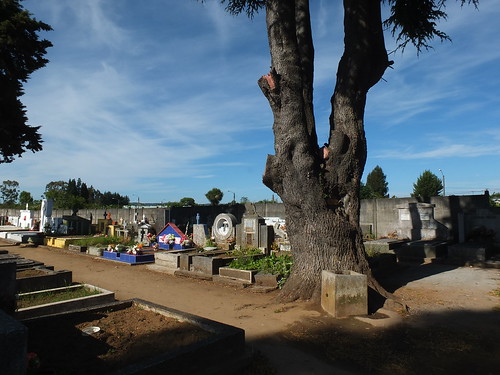 cementerio descanso familias cerroñelol