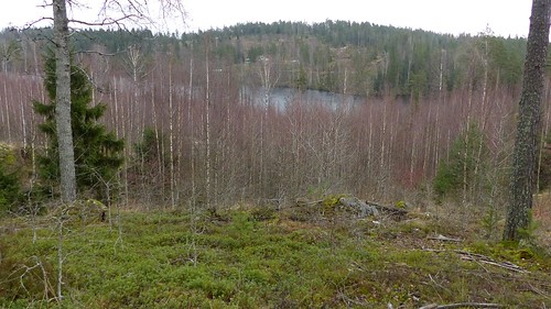 november autumn lake forest finland geotagged fin 2014 uusimaa siuntio valkjärvi 201411 20141115 geo:lat=6027468867 geo:lon=2432384707
