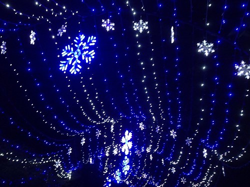 LA Zoo lights