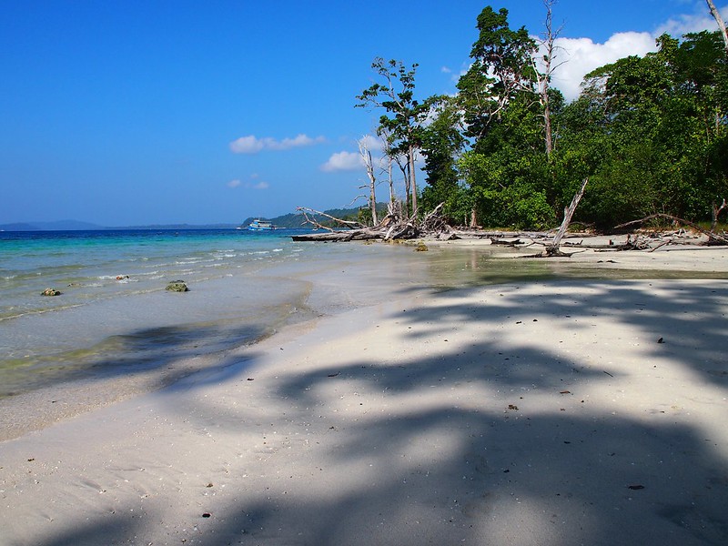 India Andaman Islands インド アンダマン諸島 Jan 30 - Feb 22 2014