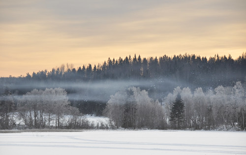 trees winter mist lake snow ice forest sunrise skyscape landscape dawn sweden smoke skedvik
