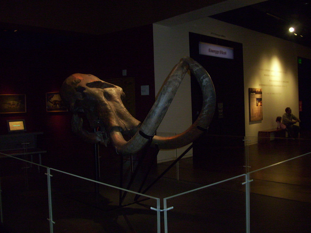 FWMSH: Mammoth's Tusks