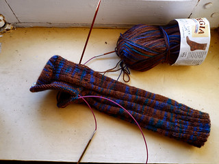 Brown and blue Regia socks