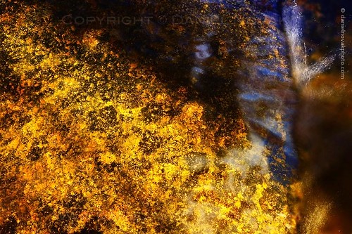 autumn abstract detail fall texture nature colors rock closeup creek river outdoors photography gold virginia nationalpark bed unitedstates hike trail syria shenandoah roseriver