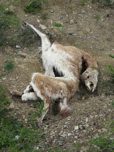 tierradelfuego39