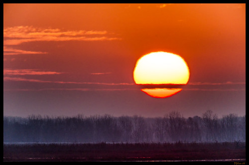 sunrise nikon missouri pikecounty d800 ashburn ©copyright tedshanksconservationarea nikon600mmf40gedvriiafs