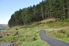 Dovestone to Greenfield Brook (74)