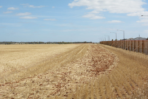 west 35mm nikon wheat melbourne crop sprawl habitat afs dx urbangrowth d5200 somekindofhell satterley