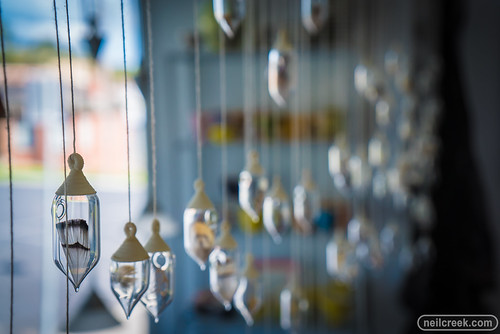 art window nature glass beauty shop shopping display au creative feather shell australia victoria fishcreek