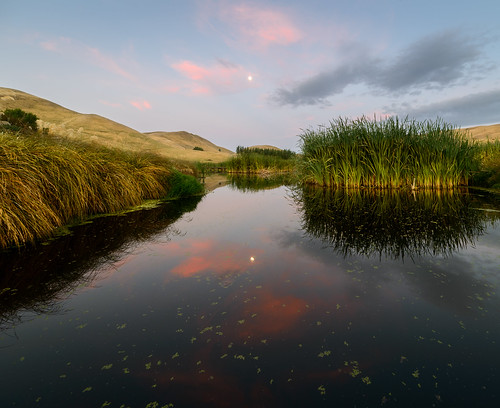 light sunset newzealand sky moon water clouds dusk hawkesbay pekapekaswamp