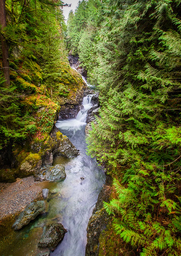 bridge trees river waterfall moss canyon boulders twinfalls snoqualmieriver twinfallsstatepark