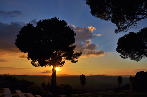 sunset italy cloud sun tree pine evening nikon italia tuscany rays montalcino townpark villagepark d90 stevelamb