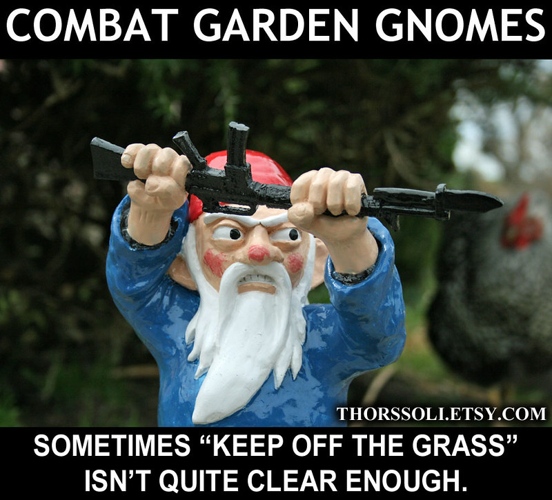 Combat Gnome MEME5