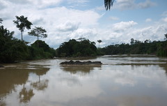 Pra River, Twifo Faso, Ghana