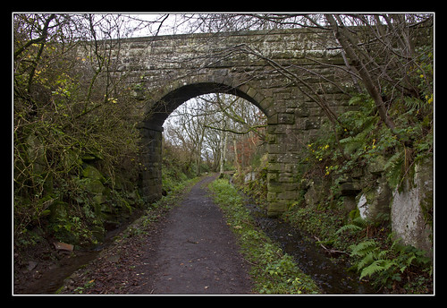 bridge autumn abandoned water path cutting drainage dismantledrailway newtyle dundeenewtylerailway perthkinross