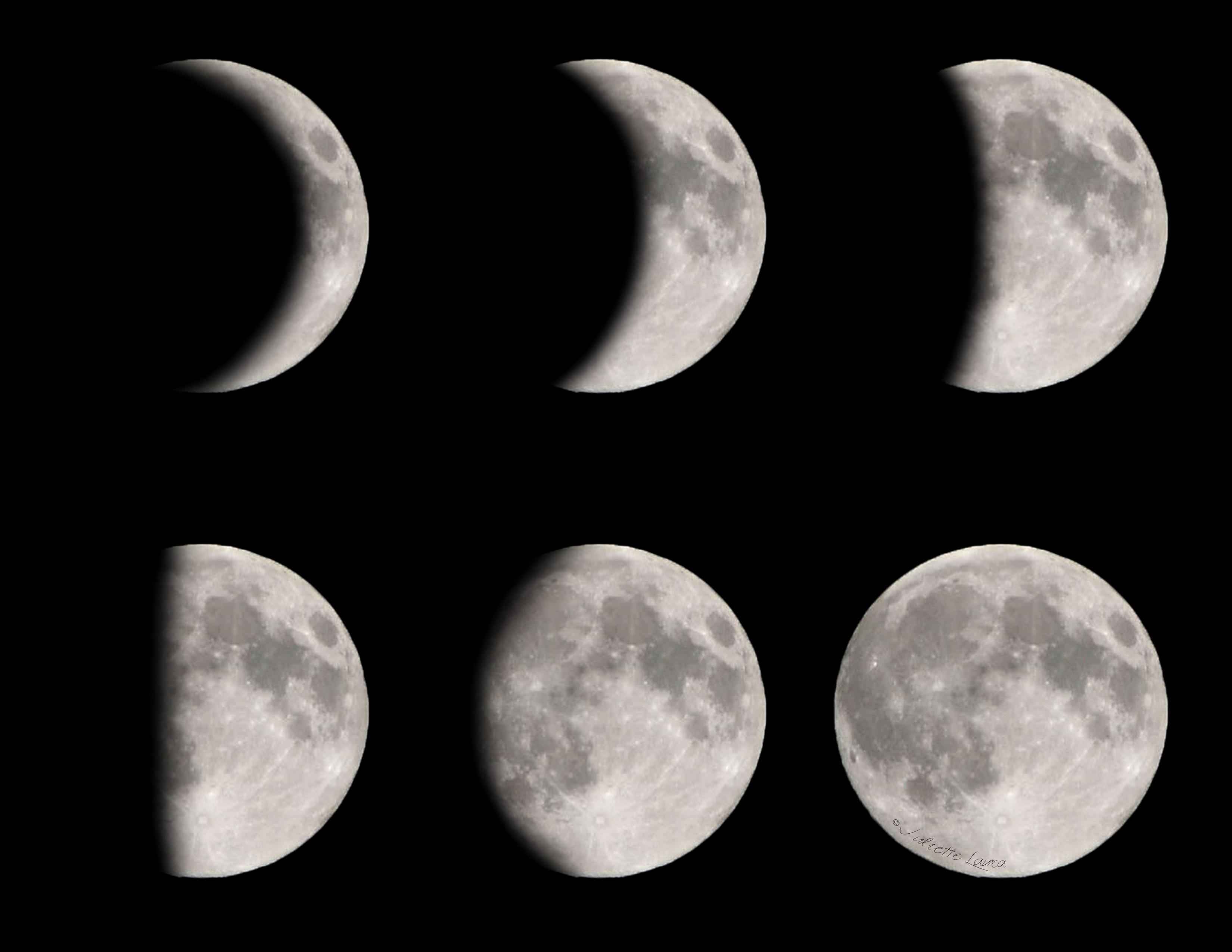 Insane phases of the moon printable Vargas Blog