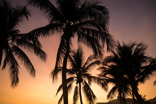 sunset sky beach mexico paradise pacific panasonic palmtrees acapulco goldenhour revolcadero lumixgx7