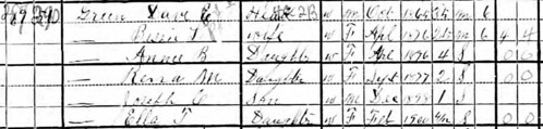 Detail for David Green family in 1900