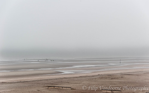 winter sea beach fog landscape coast sand shore northsea