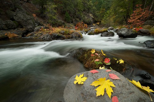 autumn fall water colors creek forest river raw deer national lassen