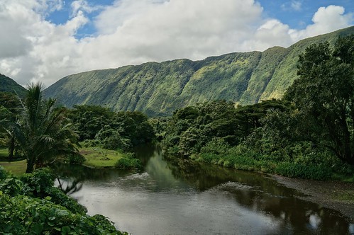 green hawaii stream waipiovalley kukuihaele turtleslava2014 hiilawestream