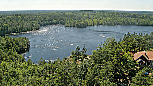 summer lake june juni forest wind sweden småland skog sverige sommar vind sjö abodaklint